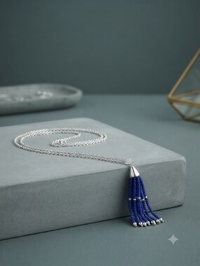 NWOT Silvertone Chain Necklace with Blue Beaded Tassel